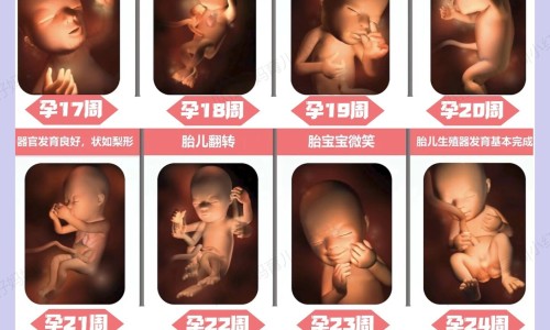 怎么促进胃吸收营养网 :分享怎么样可以促进胃部消化-如何增强肠胃吸收能力知识