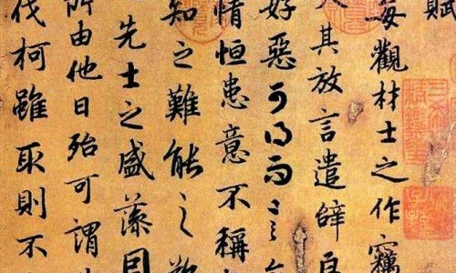 怎么样可以促进胃部消化-怎么促进胃吸收营养网 :分享怎么样可以促进胃部消化-如何增强肠胃吸收能力知识