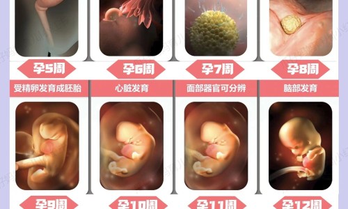怎么促进胃吸收营养网 :分享怎么样可以促进胃部消化-如何增强肠胃吸收能力知识